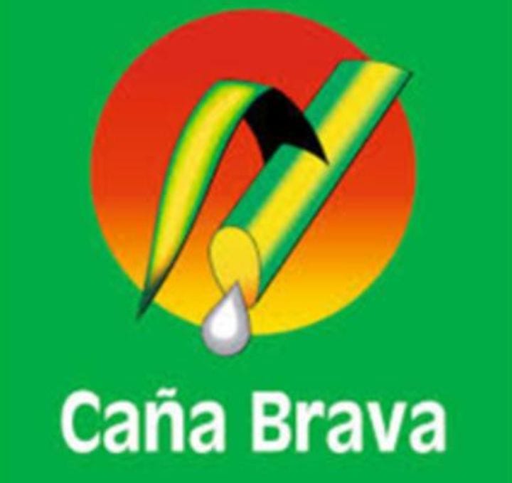 CAÑA BRAVA Logo