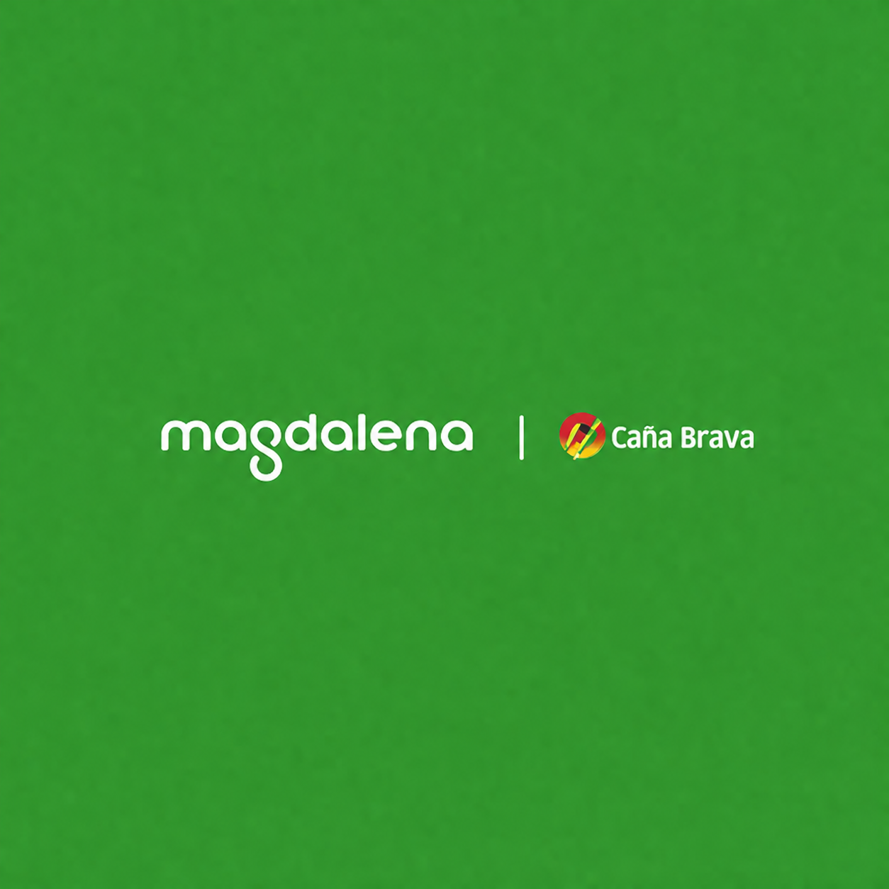 CAÑA BRAVA Logo