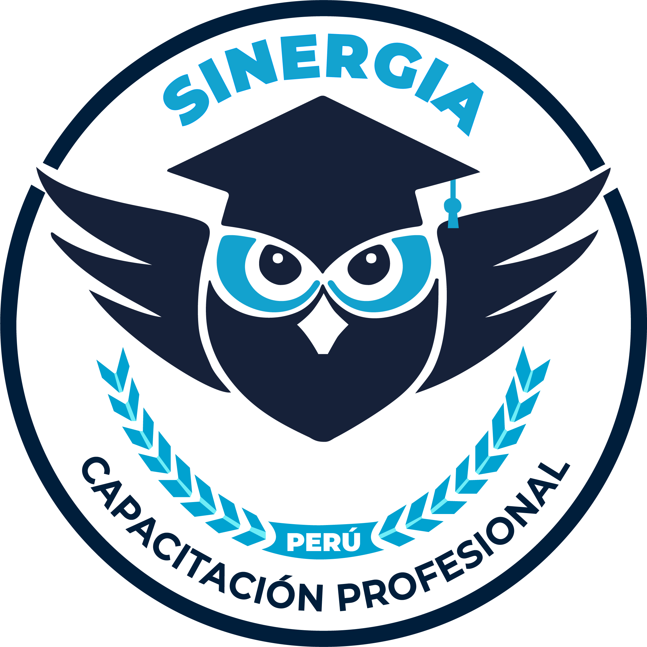SINERGIA DESARROLLO PROFESIONAL SRL Logo