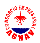 consorcioempresarialagnavsa