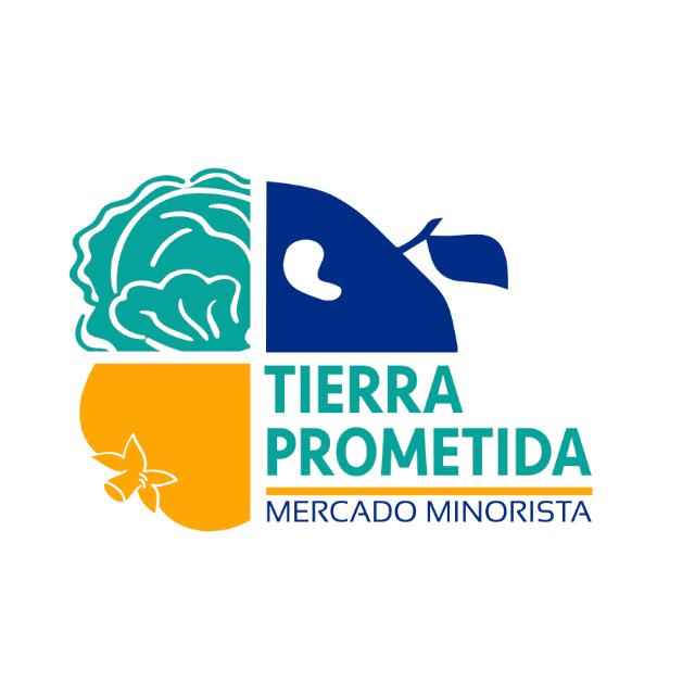 utp_asociaciondelacomisionejecutivaparalaconstrucciondelmercadominoristaenlatierraprometida